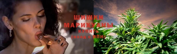амф Краснослободск
