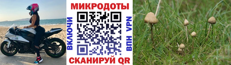 Купить закладки  Сарапул  Псилоцибиновые грибы GOLDEN TEACHER 
